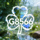 三叶草GY8566网站Logo